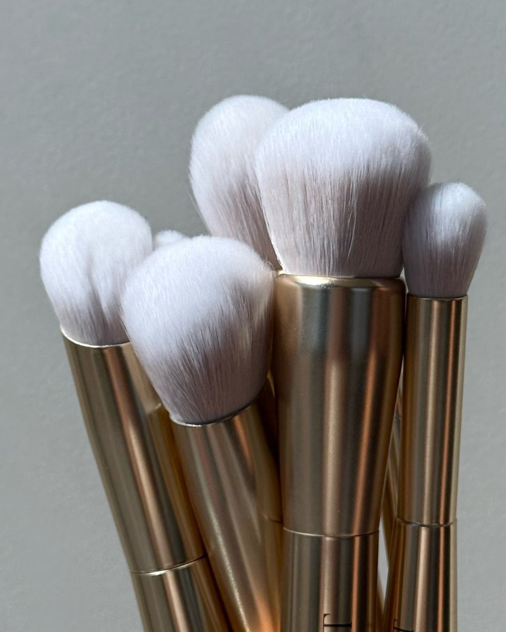 Seint brush collection — cluster of gold-handled makeup brushes with fluffy white bristles in assorted sizes