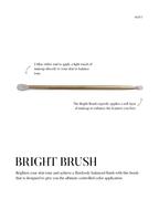 Seint Bright Brush infographic — double-ended gold brush with usage tips for controlled color application