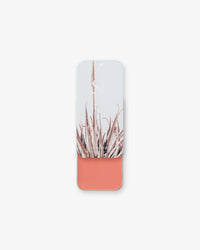 Seint Lip + Cheek in Madrid, satin finish — open tin of warm coral-peach cream blush for lips and cheeks